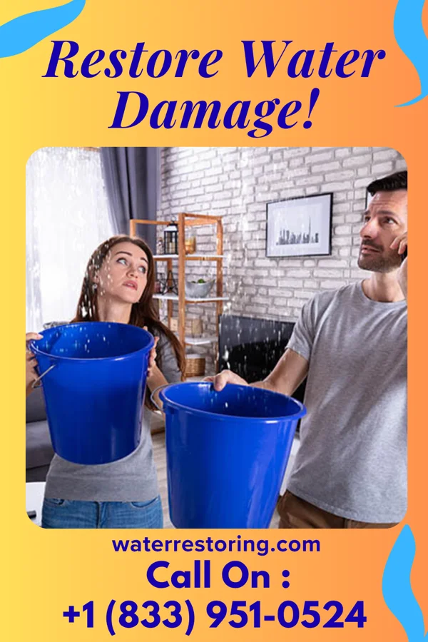 water restoration Expert Water Restoration Authority Hilo